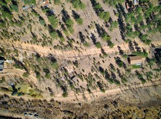 381 Neish St, Bailey, CO 80421