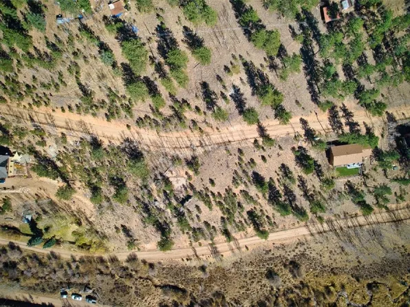 381 Neish St, Bailey, CO 80421