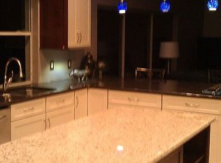 1405 Dumont Dr, Valrico, FL 33596