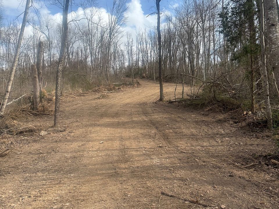 91st image of this home