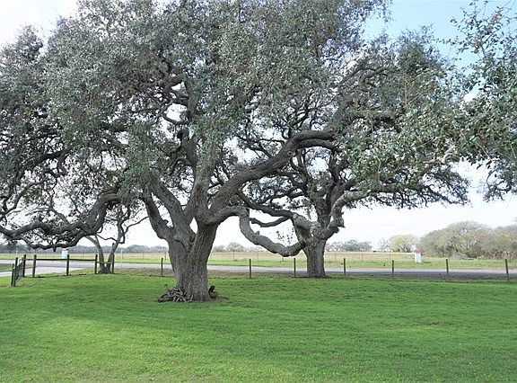4th image of 1205 W Fm 351