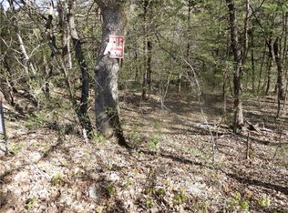 Puma Ln, Eureka Springs, AR 72631