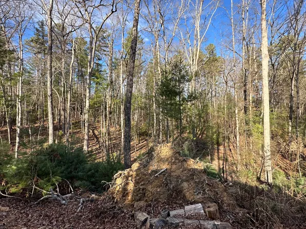 1 Harrison And Ada Rd, Blue Ridge, GA 30513