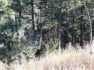 LOT A Pine Slope Rd LOT A, Idaho Springs, CO 80452