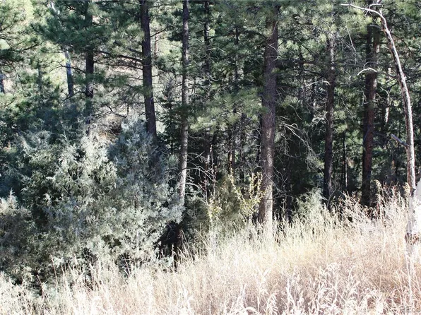 Lot A Pine Slope Road LOT A, Idaho Springs, CO 80452