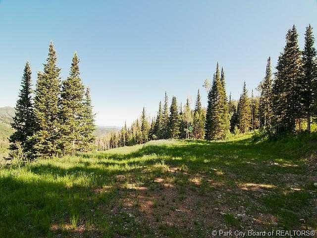 1st image of 206 White Pine Canyon Rd #206