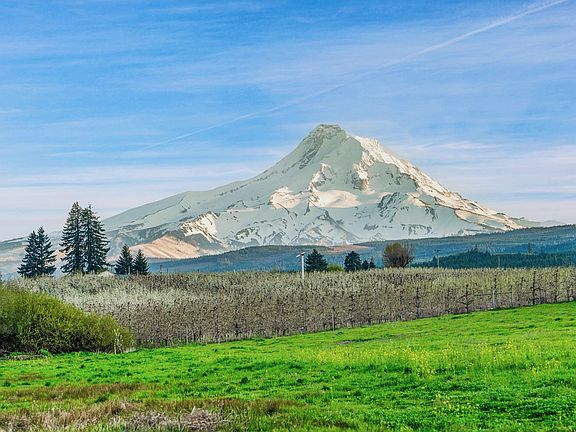 3rd image of 4975 Green Rd