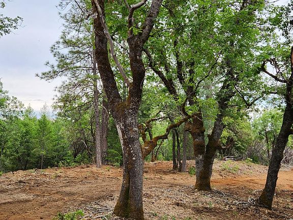 3rd image of 18148 Greenhorn Rd