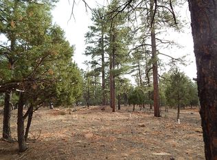 2067 Gilbert Ln, Overgaard, AZ 85933