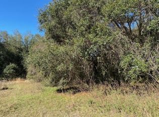 41019 Gator Ln, Zephyrhills, FL 33540