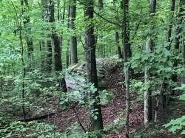 2818 Wilson Ave, Signal Mountain, TN 37377