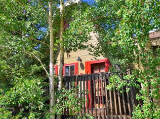 1155 County Road 6, Alma, CO 80420