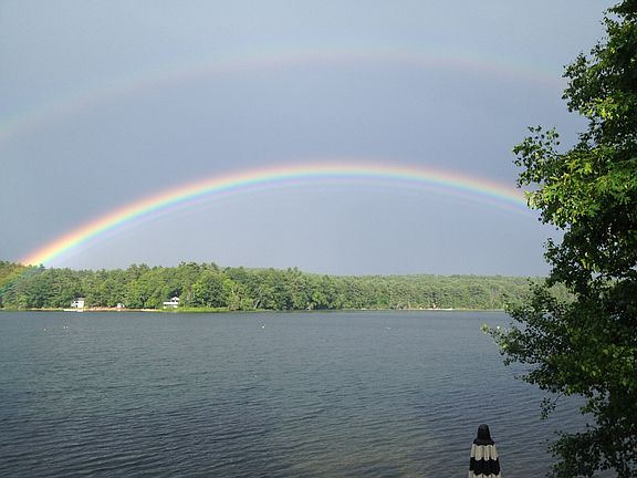View from the house