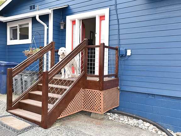 Fin, It's a dogs world!