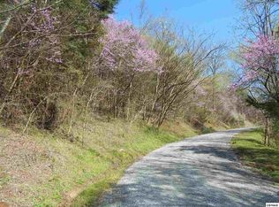 1 High Country Rd LOT 0, Cosby, TN 37722