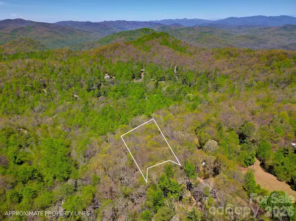 99999 Laurel Ln, Black Mountain, NC 28711