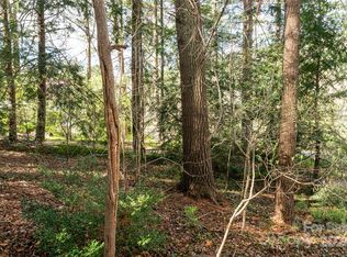 327 Chunns Cove Rd, Asheville, NC 28805