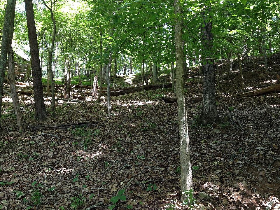 2nd image of 2339 Tamarack Dr