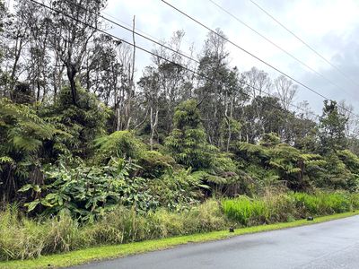 Nahelenani St Lot 53-B-363, Volcano, HI, 96785