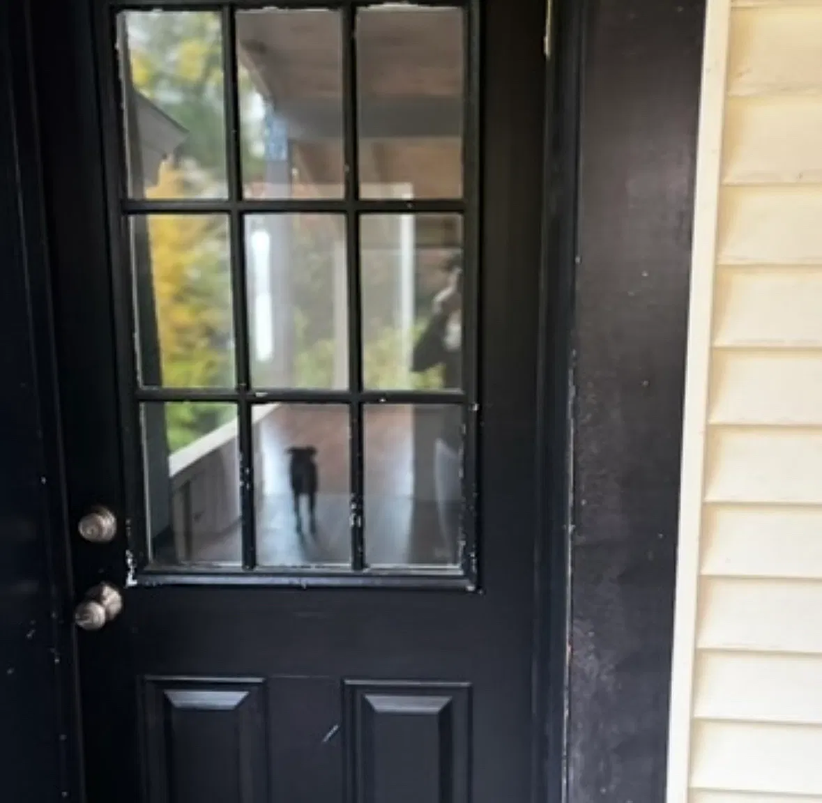 2 bed, 750 sqft, $1,300 — Photo 2
