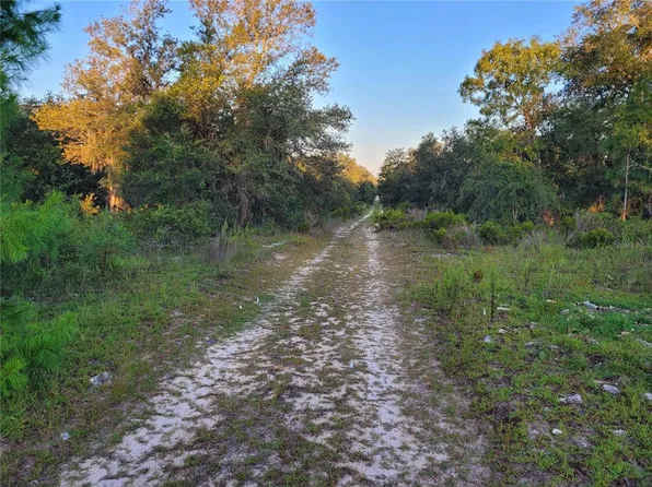NE 61st Ln Lot 19, Williston, FL 32696