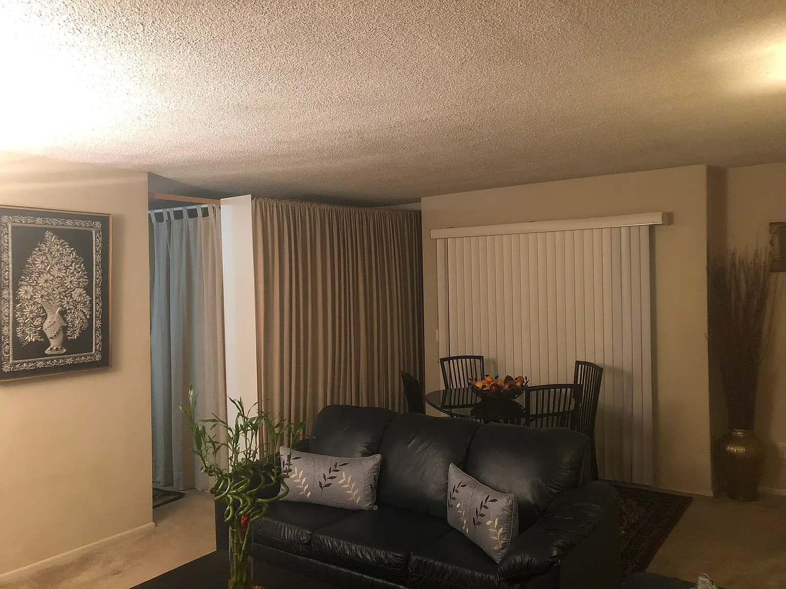1 bed, $800 — Photo 2