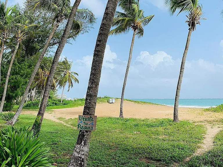 4745 Avenue Isla Verde — Photo 28