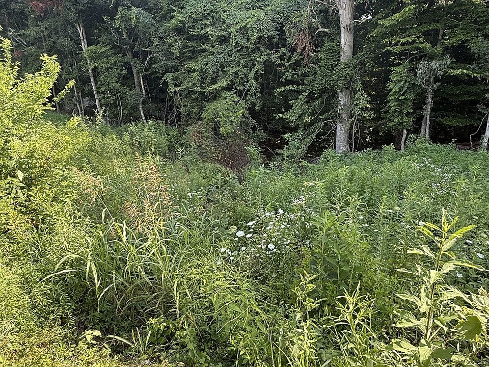 2nd image of 0 Reed Rd