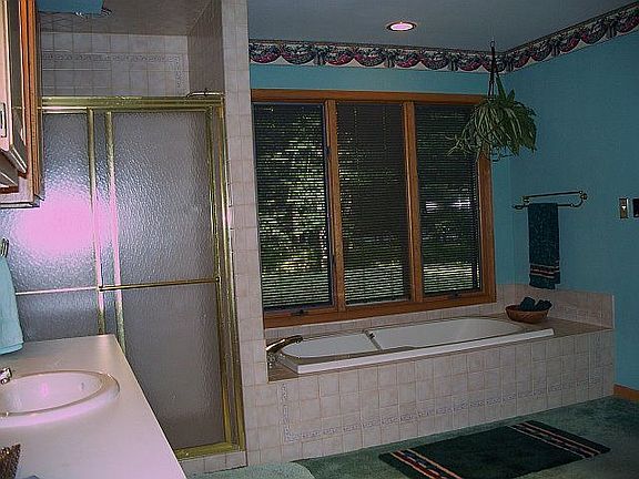Master bathroom