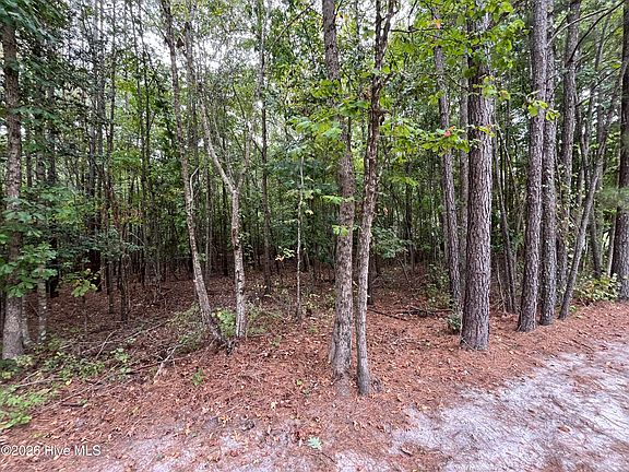 4th image of 410 Bingham Street LOT 5