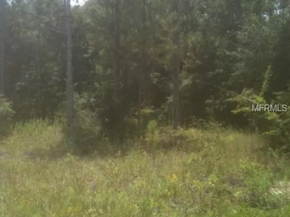 Alloy St, Webster, FL 33597