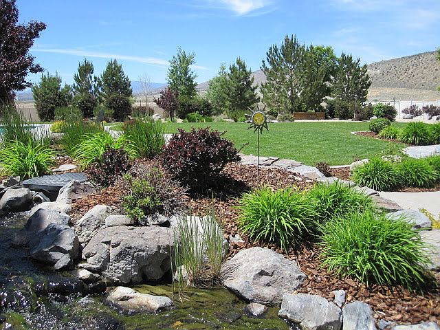 backyard and water feature