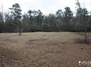 122 Campground Rd, Hemingway, SC 29554