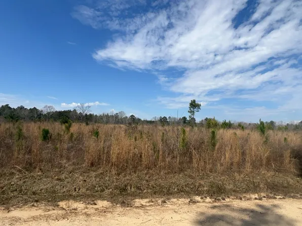 0 Felder Fulford Rd, Rockledge, GA 30454