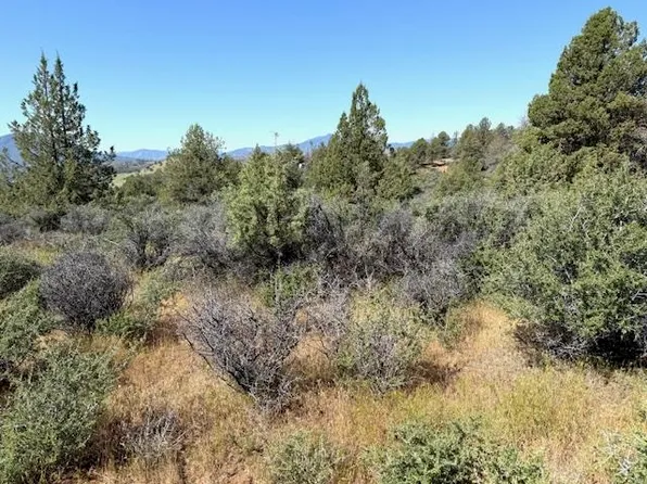 Iron Gate Lake Fawn Rd Unit 5, Hornbrook, CA 96044