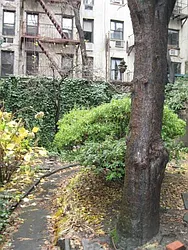 Rented by Tower Brokerage