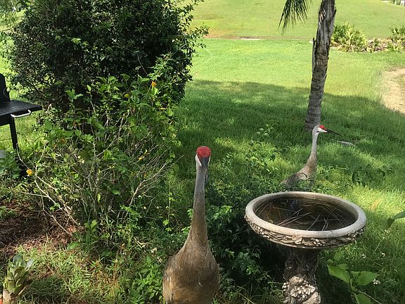 Back view from deck