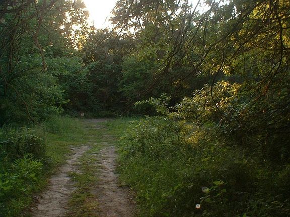 Back part of acreage