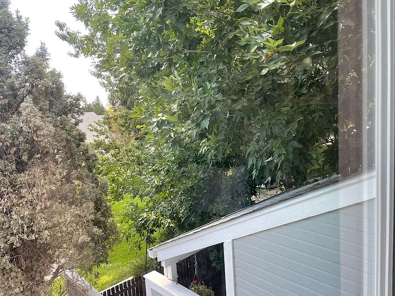 384 Owl Dr — Photo 14