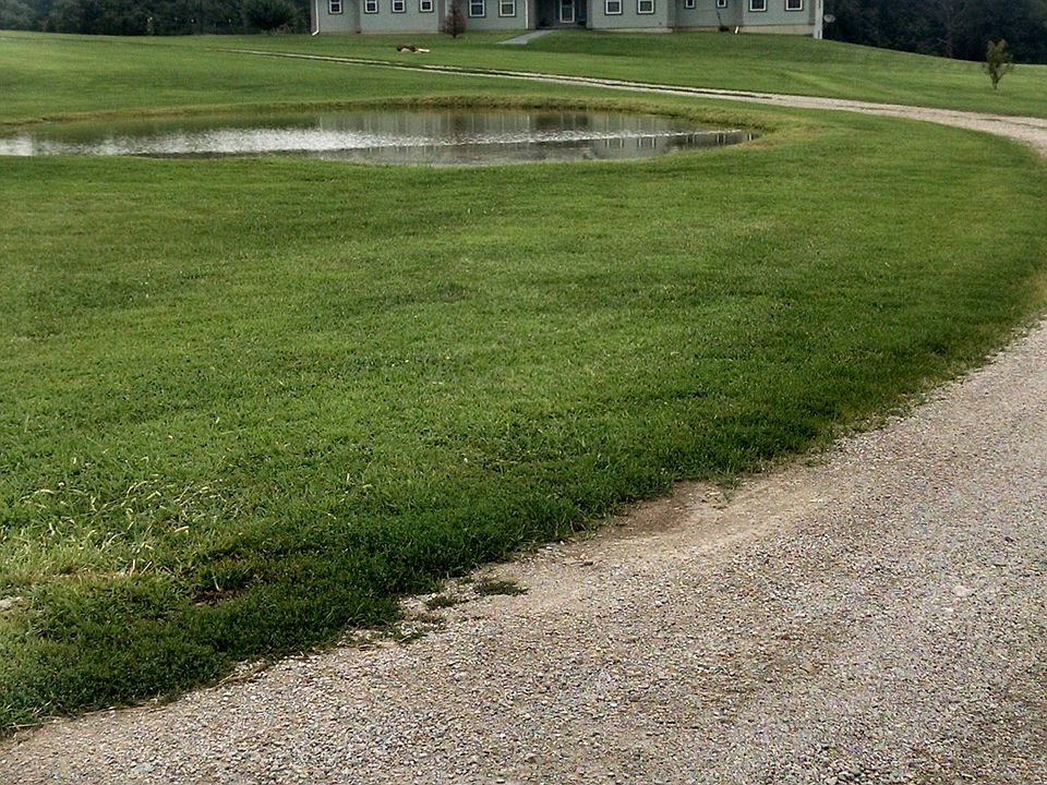 Front of driveway 