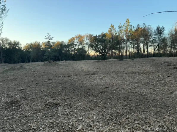 TRACT 15 Mount Zion Rd, Gordon, AL 36343
