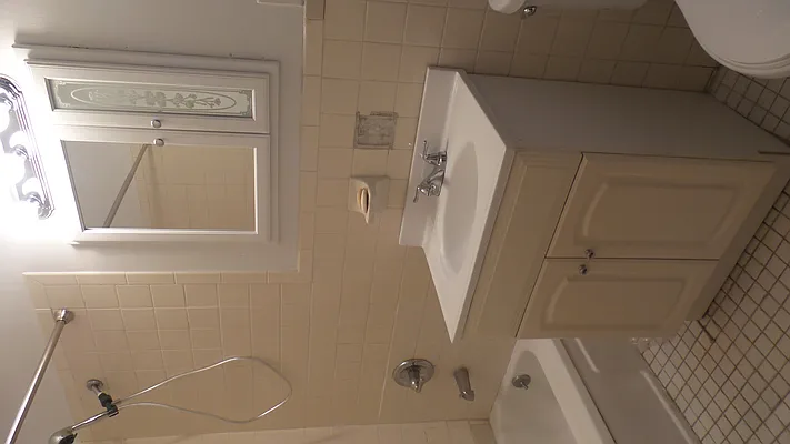 Rented by Brooklyn Dwellers Management LLC | media 8