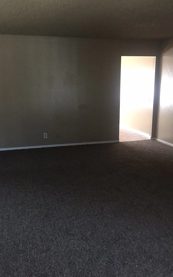 1 bed, $1,100 — Photo 1