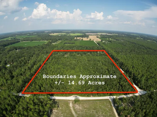 NW 65th Ave, Bell, FL 32619