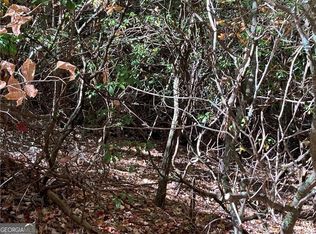 0 Prospectors Pl, Sautee Nacoochee, GA 30571