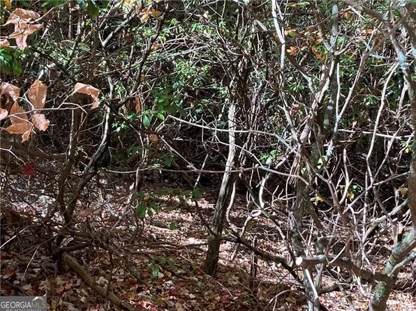 0 Prospectors Pl, Sautee Nacoochee, GA 30571