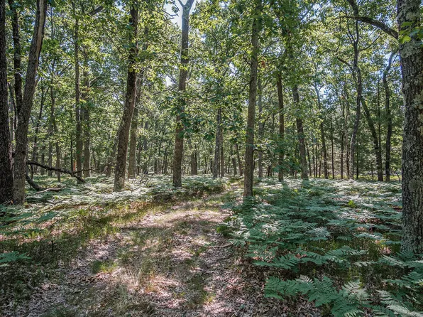 V/l S Star Lake Rd, Baldwin, MI 49304