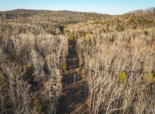 0 County Road 19 Tract 208-2, Winona, MO 65588