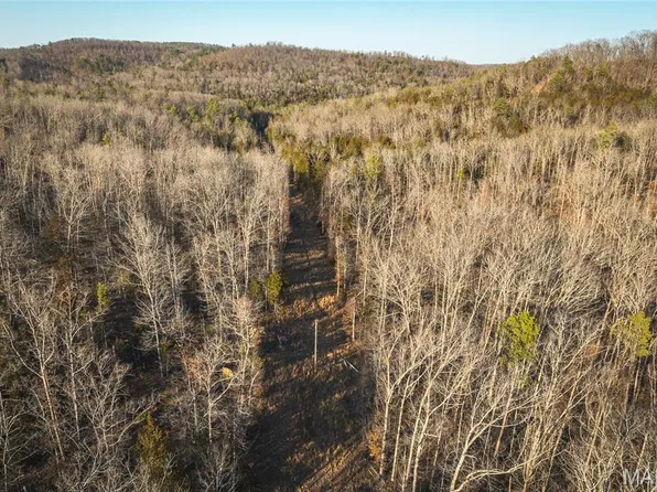 0 County Road 19 Tract 208-2, Winona, MO 65588