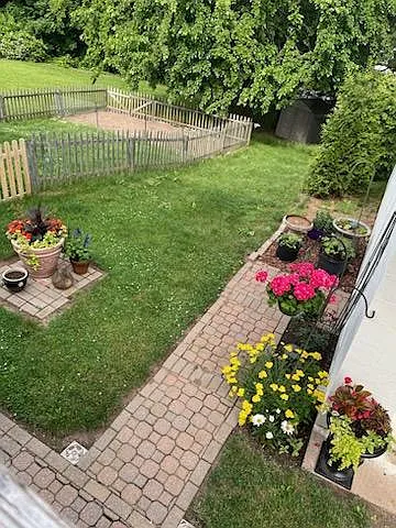 Yard